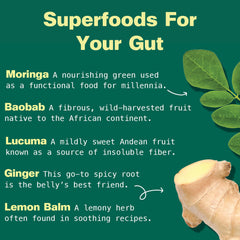 Kuli Kuli Gut Bliss yogurt bowl with powder sprinkled for gut-friendly boost.