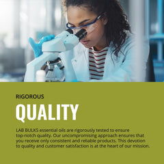 Lab Bulks cajas de almacenamiento manteniendo calidad