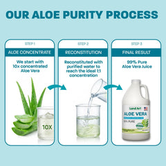 Land Art jugo de Aloe Vera en batido saludable con frutas