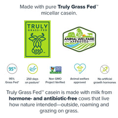 Textura cremosa LEGION Casein fresa: experiencia suave al mezclar en postres.