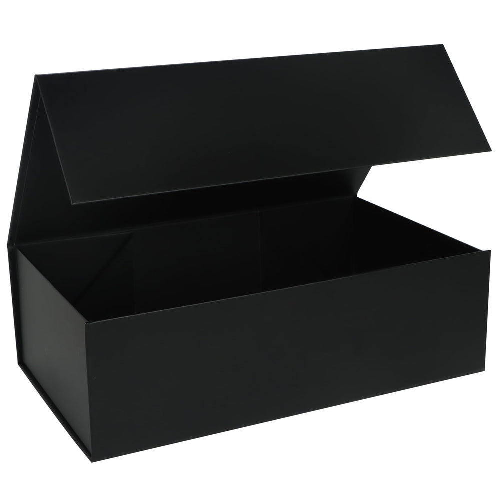 LFBOX vista frontal de la caja negra mostrando presentación profesional