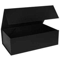 LFBOX vista frontal de la caja negra mostrando presentación profesional