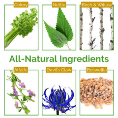 Life Tones ingredientes herbales secos resaltando origen natural y pureza