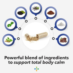 LifeSeasons Anxie-T Plus ingredientes clave que favorecen el apoyo nervioso