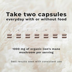 LifeSeasons Melena de León ingredientes: micelio y cuerpo fructificado para la composición.