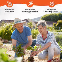 LifeSeasons Mobili-T: acción para facilitar el movimiento y la flexión de las articulaciones