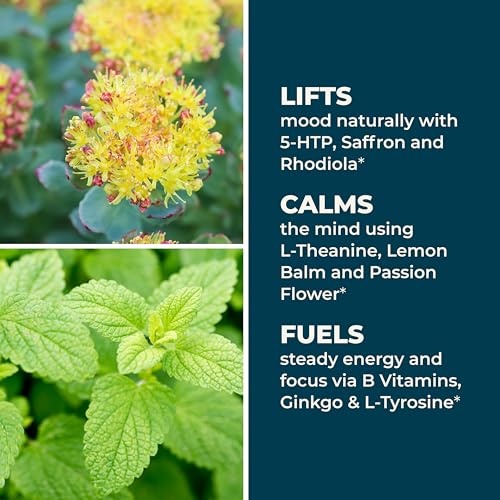 LifeSeasons Mood Stabili-T: presentación de Vitamina D3 y otros componentes para bienestar diario.