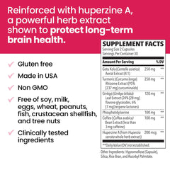 Ginkgo leaf extract detail highlights cognitive support in NeuroQ formula.