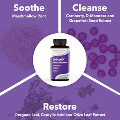 LifeSeasons Urinari-X uso diurno para confort durante el día