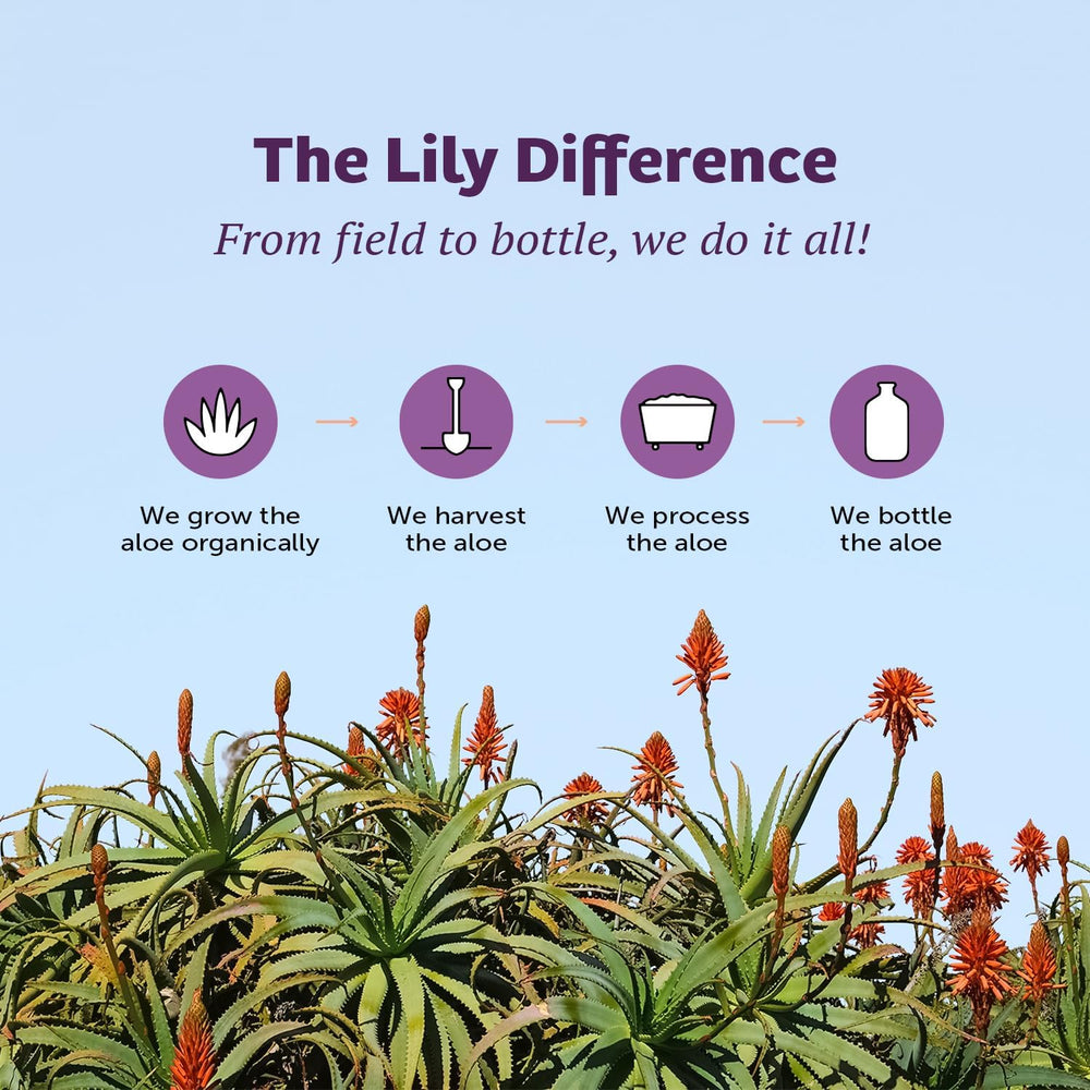 Lily of The Desert en cocina junto a fruta y hierbas, muestra uso cotidiano saludable