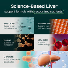 LIVERITE en una rutina matinal sobre mesa, muestra integración en el día