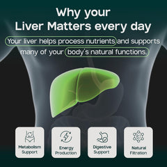 LIVERITE comparación de tamaño con mano que resalta conveniencia diaria