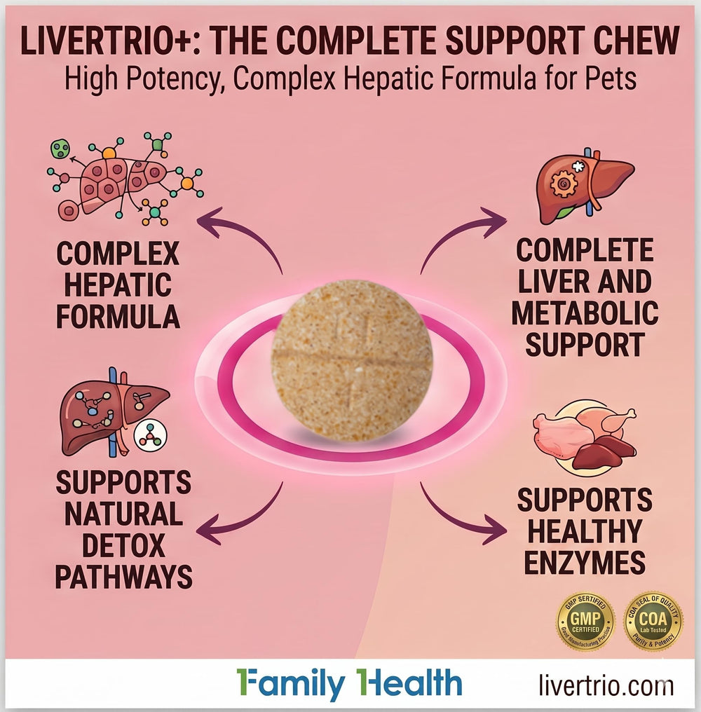 tabletas LiverTrio+ añadidas a plato de comida para administración fácil
