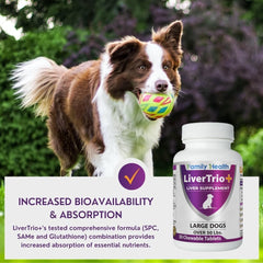 perro grande aceptando snack LiverTrio+ muestra palatabilidad y conveniencia