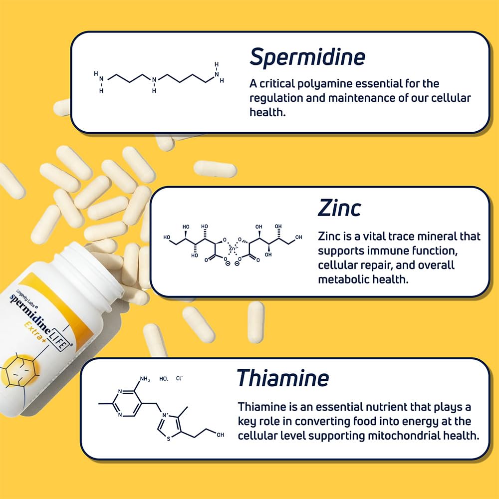 LONGEVITY LABS spermidineLIFE vegan formula for plant-based diets