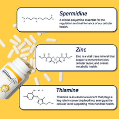 LONGEVITY LABS spermidineLIFE vegan formula for plant-based diets