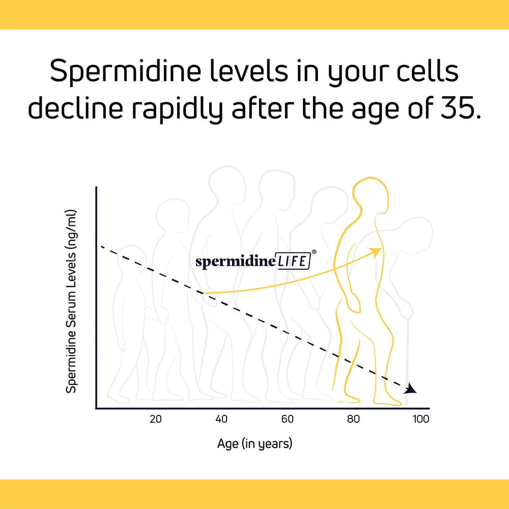LONGEVITY LABS spermidineLIFE vegan-friendly packaging and pure ingredients