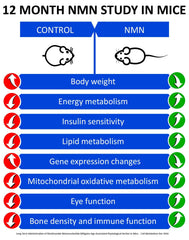 MAAC10 etiqueta nutricional legible con concentración de 125 mg