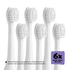 Made by Dentists seis cabezales alineados para remplazo prolongado