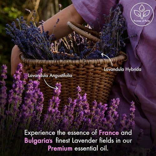 Majestic Pure gota de aceite de lavanda en superficie que resalta pureza