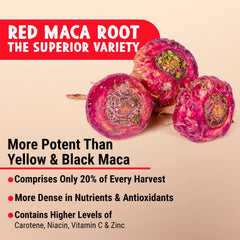 Maju Superfoods cápsula en mano para comparar tamaño y facilitar la toma diaria