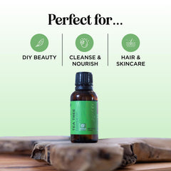 Maple Holistics gotero dosificando aceite, control preciso para mezclas
