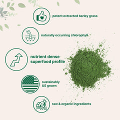 Micro Ingredients cucharada medidora con porción de 3 g mostrando control de dosis