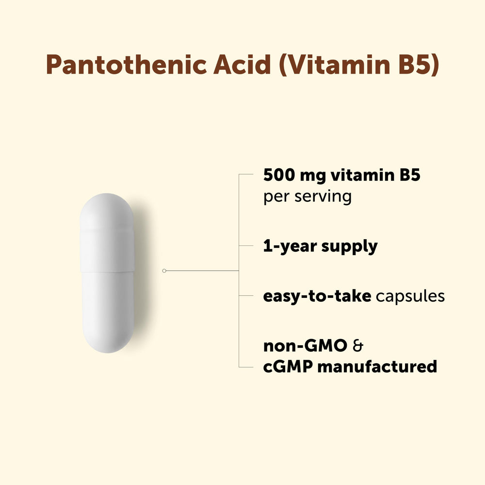 Micro Ingredients cápsula en mano para visualizar tamaño práctico