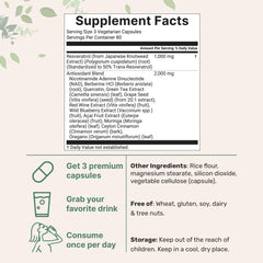 Micro Ingredients cápsulas vegetales en mano para mostrar tamaño y practicidad