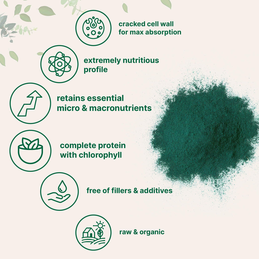 Micro Ingredients cucharada con chlorella para referencia de porción práctica