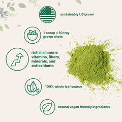 Micro Ingredients cuchara dosificadora junto al envase para medidas precisas