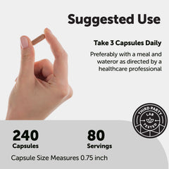 Micro Ingredients polvo de extracto de shilajit en cuchara que ilustra calidad del ingrediente