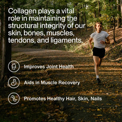 Momentous Collagen Powder in water demonstrates quick, smooth mixing.