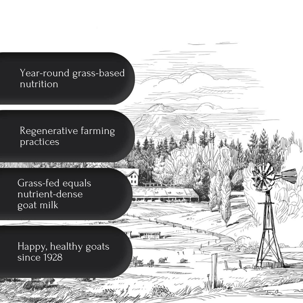 Mt. Capra batido preparado sin sabor listo para recuperación rápida