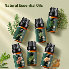 Mumianhua Aceite esencial Cedro 10 ml: nota bosques para concentración.