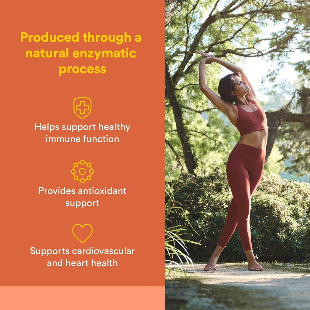 Natural Factors cápsula de cerca que muestra textura vegetal y fácil ingestión