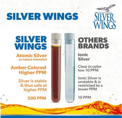 Natural Path Silver Wings comparación de tamaño en manos para escala clara