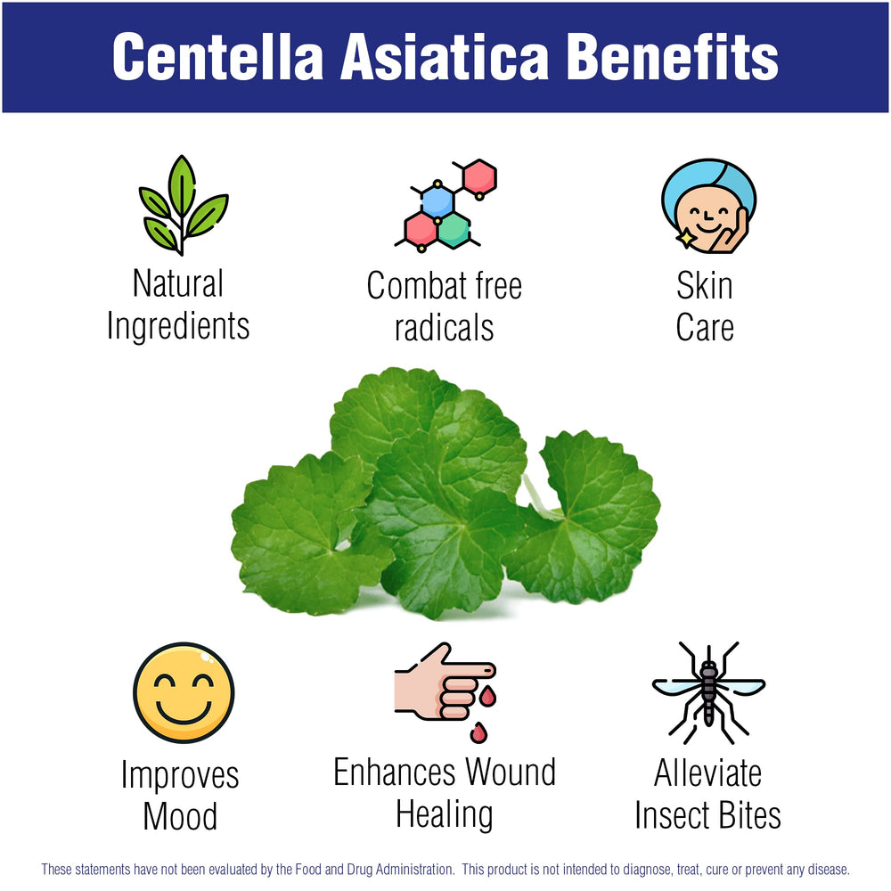 Natural Systems Naturasys hojas de Centella Asiatica representando origen vegetal