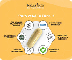 NaturaNectar capsules offer antioxidant-rich support for busy days.