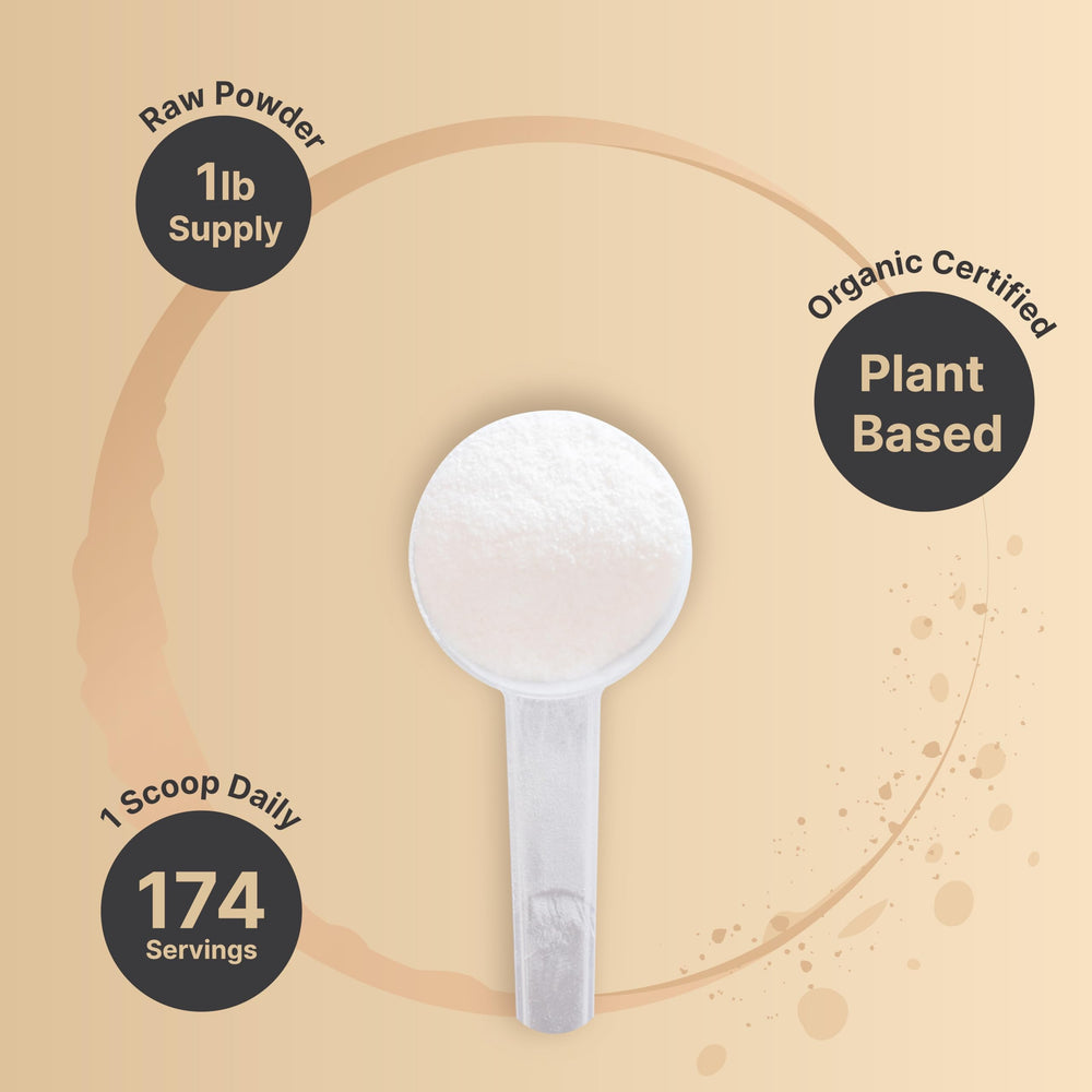 NatureBell inulina orgánica sin rellenos: polvo puro y sin gluten.