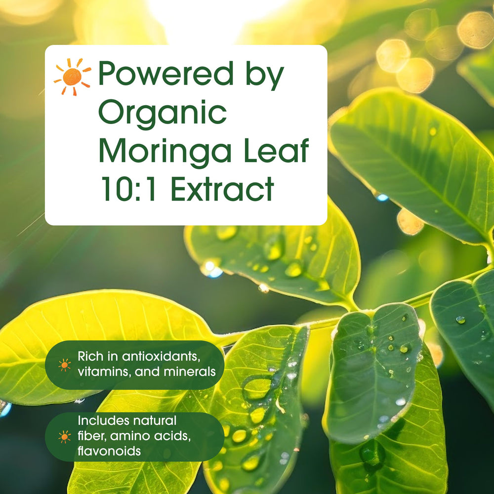 NatureBell cápsula abierta mostrando contenido de moringa y claridad de ingredientes