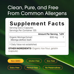 NatureBell polvo de moringa en primer plano que muestra textura y pureza vegetal