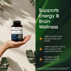 Comparación de tamaño de cápsula NatureBell en mano para referencia de dosis