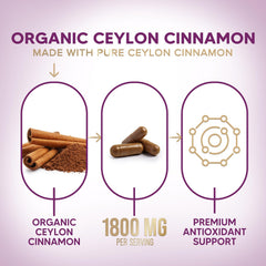 Nature's Choice polvo de Canela de Ceilán a detalle, puro y orgánico