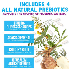 Nature's Nutrition close-up del prebiótico e ingredientes clave