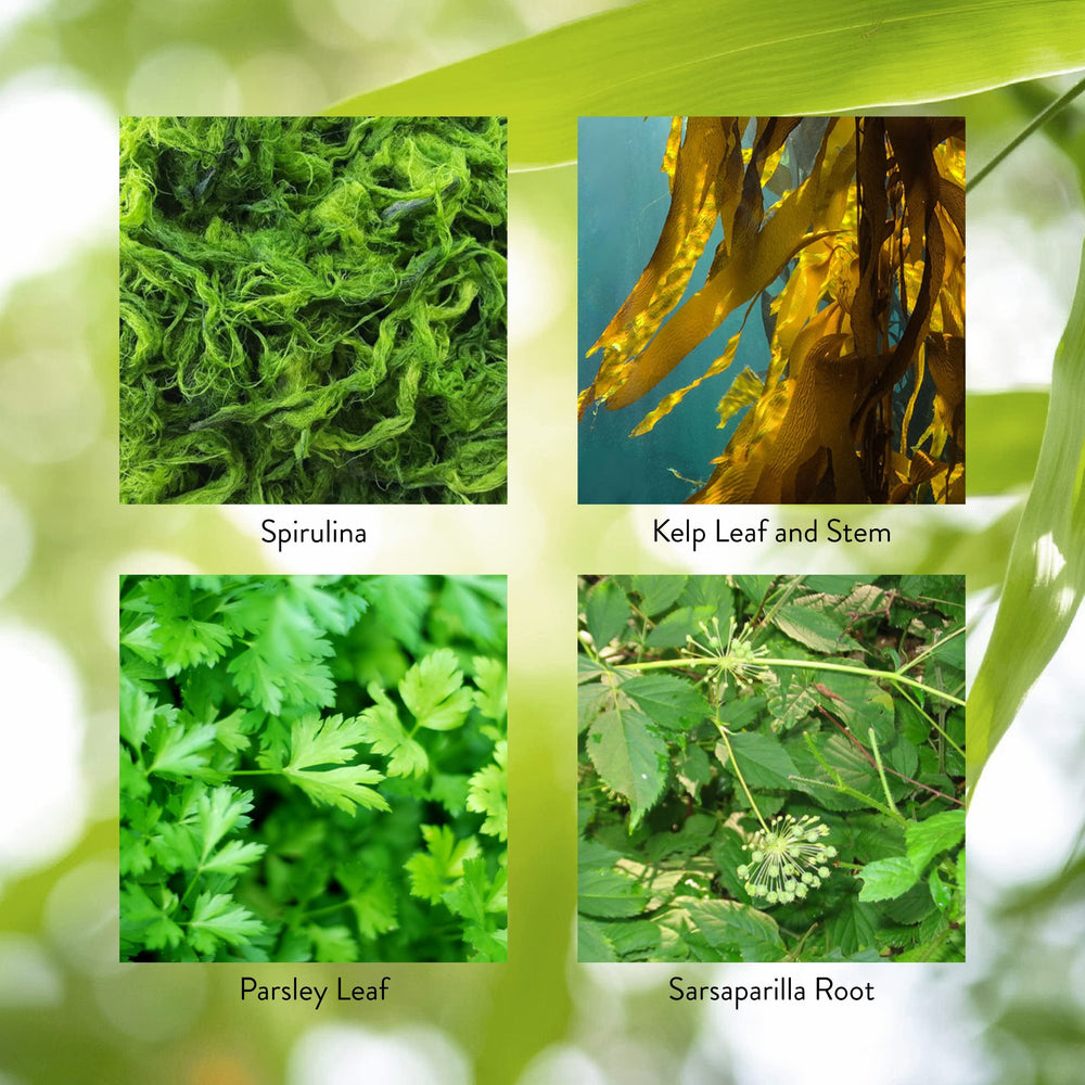 Activador Tiroides Nature's Sunshine: lista de ingredientes de origen natural