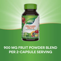 Nature's Way polvo textura del blend destacando concentración de 12 frutas naturales