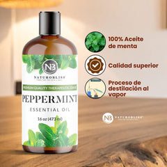 NaturoBliss ambiente hogareño con difusor para mejorar espacios