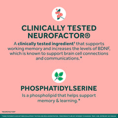 NEURIVA etiqueta de ingredientes destacando Neurofactor y fosfatidilserina