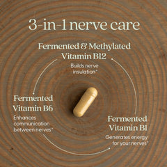 New Chapter ingredientes orgánicos como cúrcuma, jengibre y Lion’s Mane